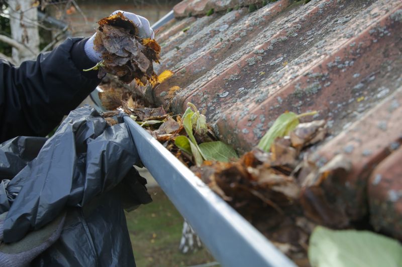 Gutter Leaf Clearing