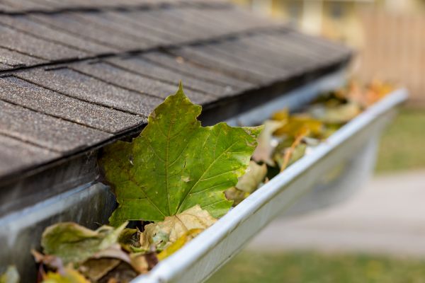 Commercial Downspout Cleaning in Coeur D Alene
