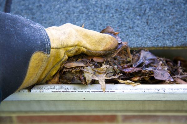Cost of Jammed Gutter Cleaning in Coeur D Alene