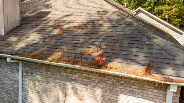Cost of Gutter Pine Needle Removal in Coeur D Alene